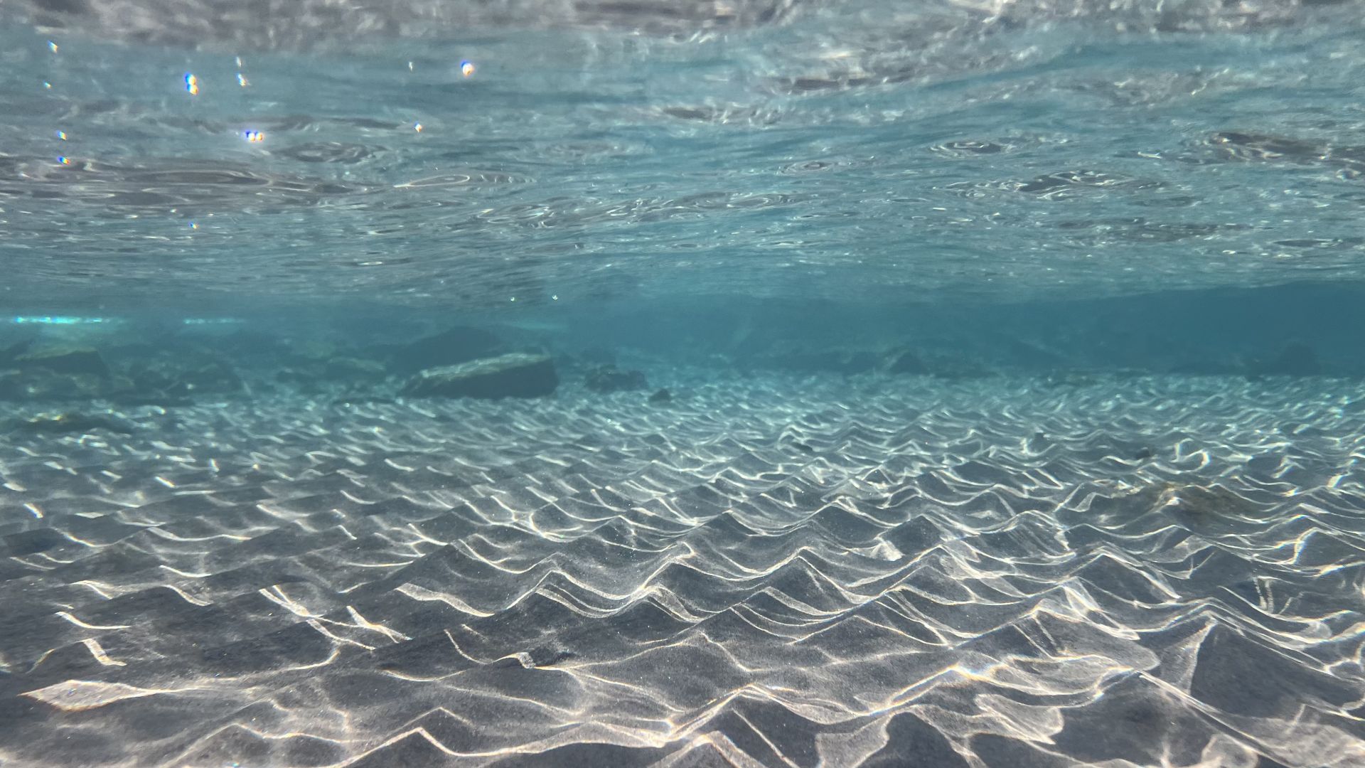 Dacci oggi il nostro mare quotidiano Dacci oggi il nostro mare quotidiano
